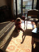 IMG_3949 (2).JPG (323721 bytes)