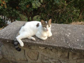 IMG_3965 (2).JPG (739916 bytes)